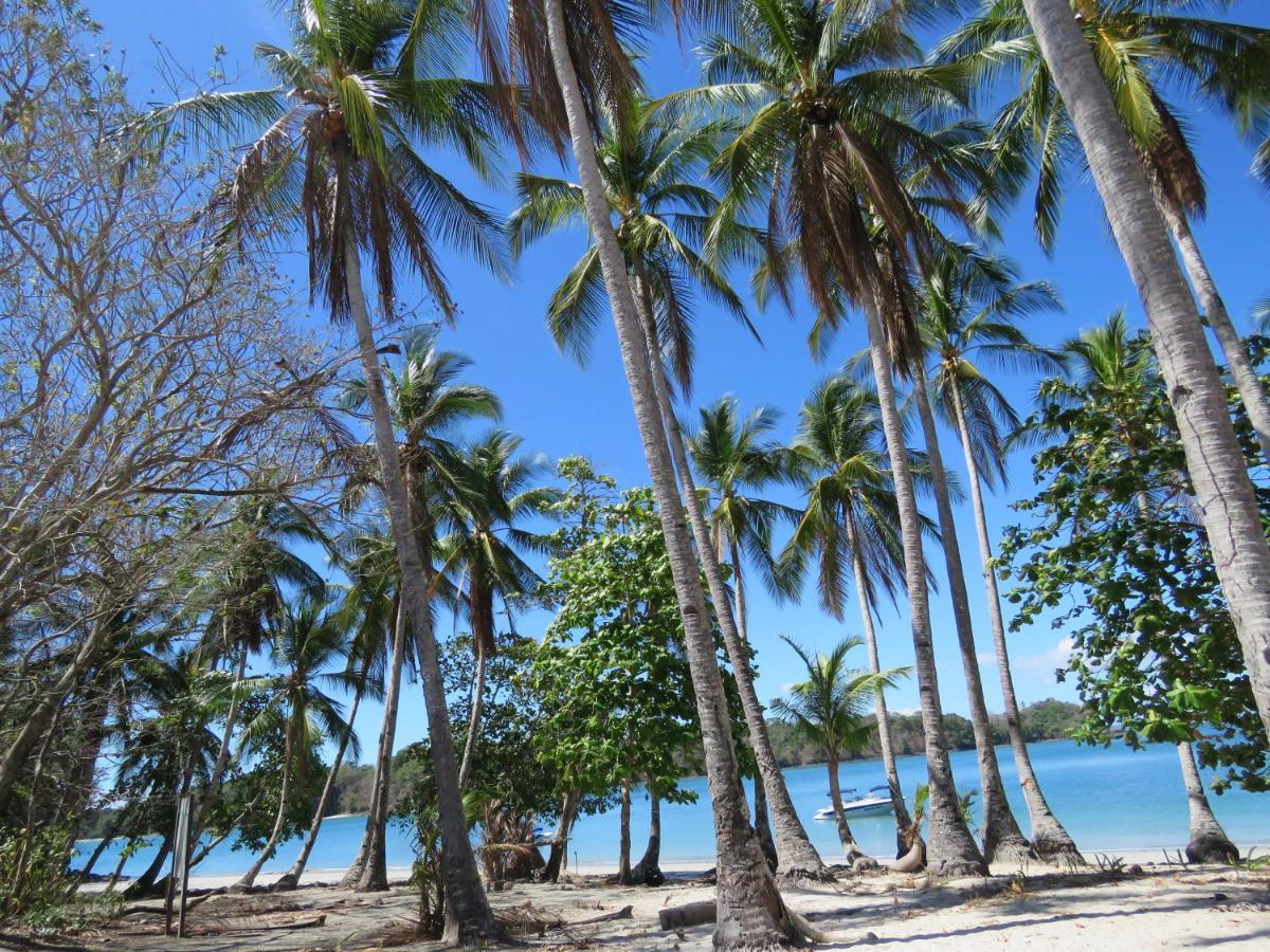 Bocas Del Mar Hotel Boca Chica Exterior photo